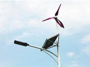 风光互补路灯